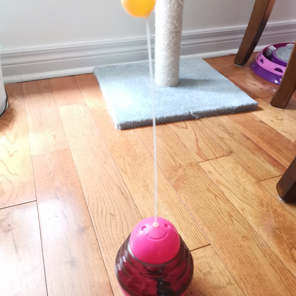 Cat tumbler toy - Picture 1 of 2